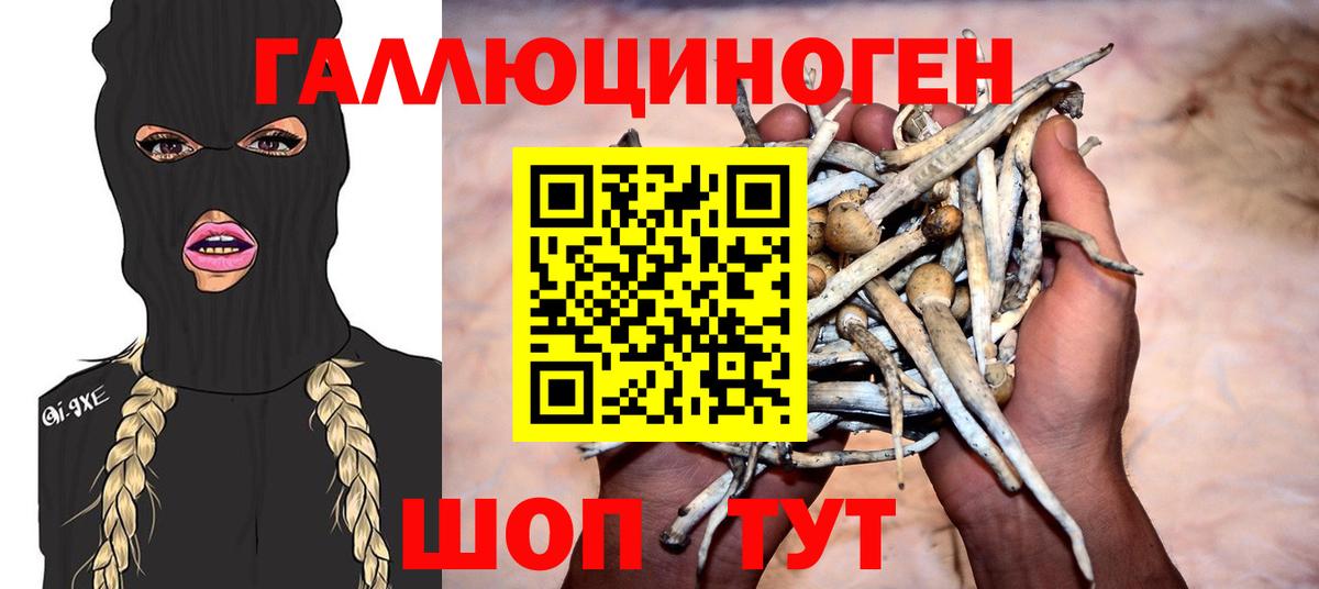 Псилоцибиновые грибы мицелий  Галлюциногенные грибы Magic Shrooms  Вход с VPN  Кизилюрт 