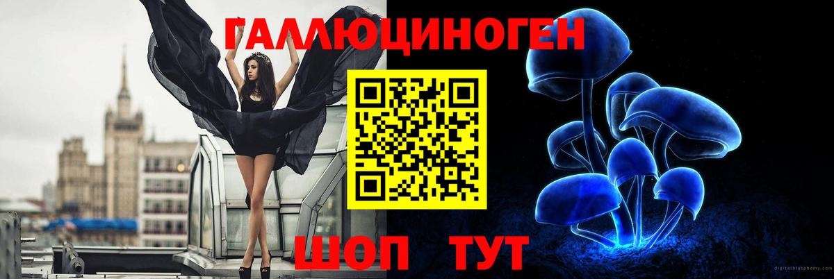 Галлюциногенные грибы Psilocybine cubensis Кизилюрт